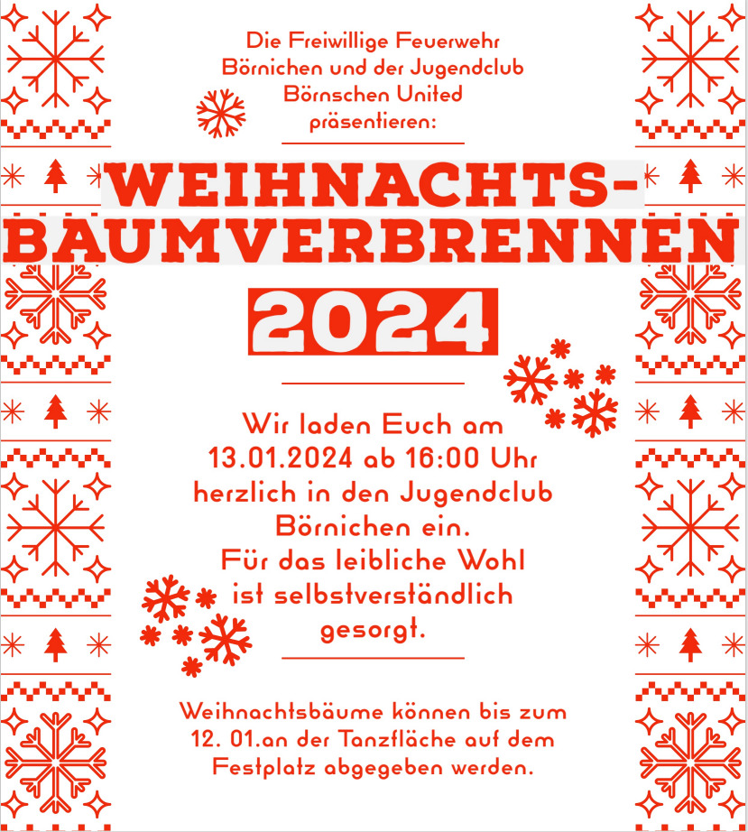 Weihnachtsbaumverbrennen am 13.01.2024 in Börnichen