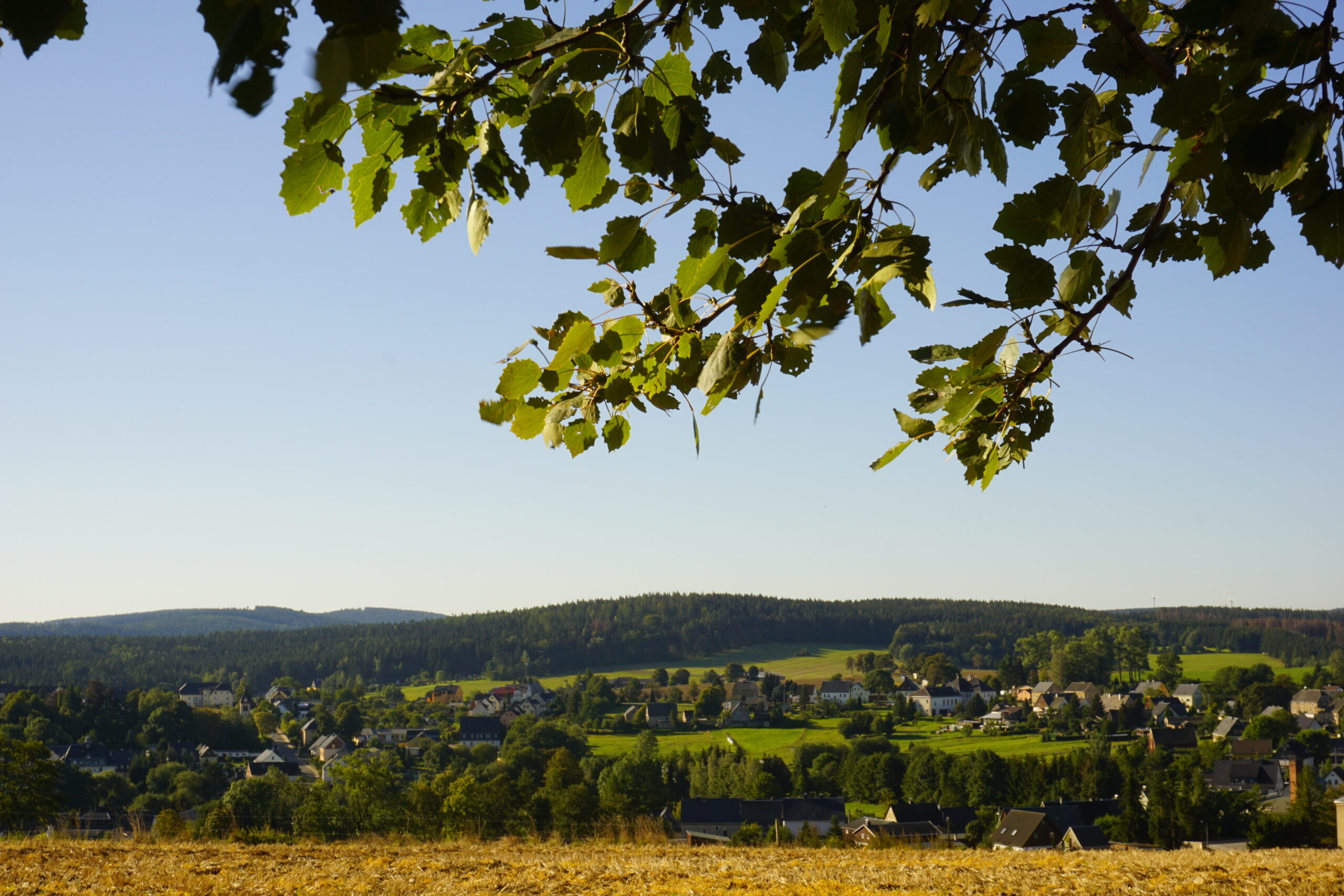 Musikwanderung "Börnschner Ringel" am 29.06.2025