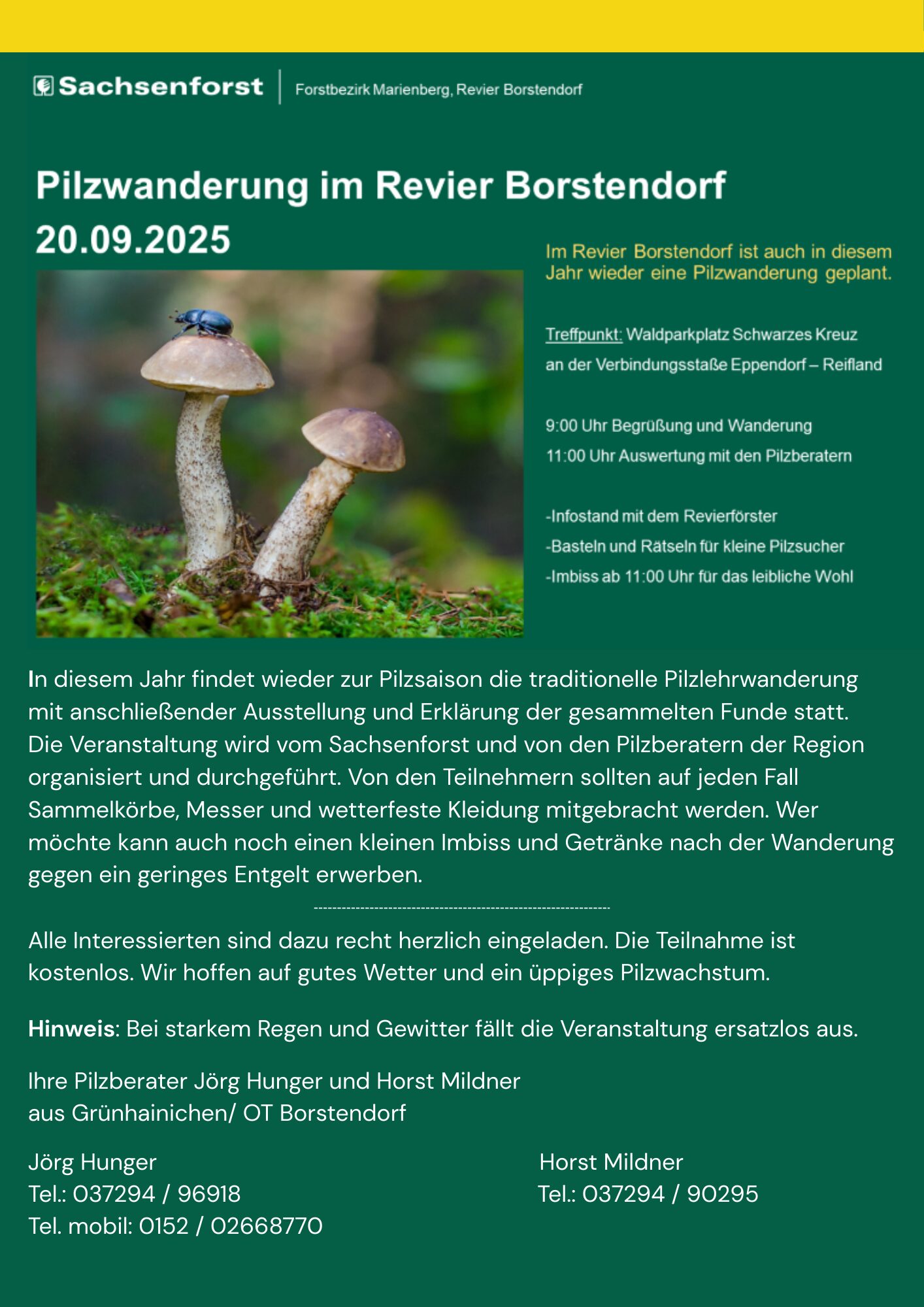 PILZLEHRWANDERUNG im Röthenbacher Wald am 20.09.2025