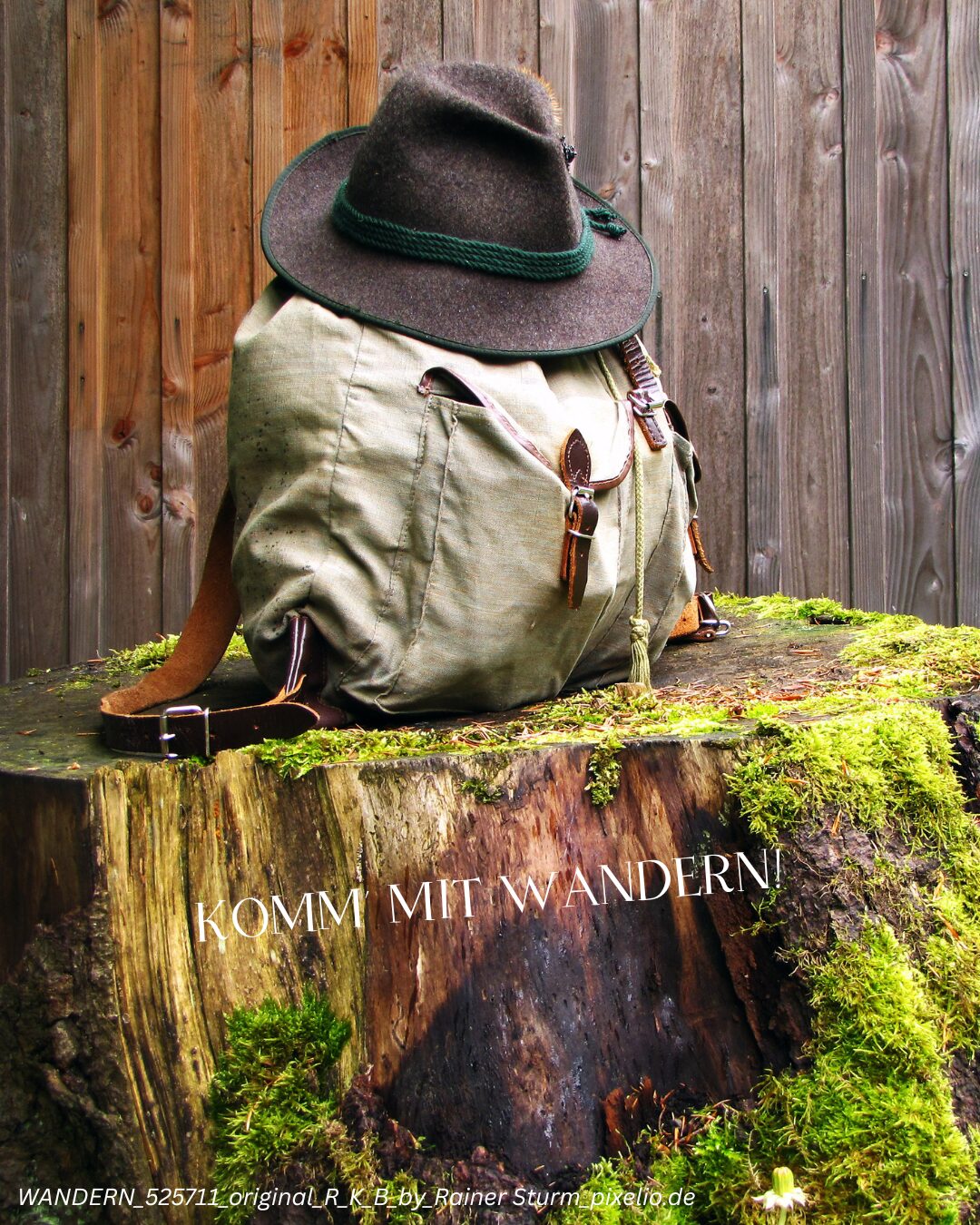 Wanderung im Röthenbacher Wald mit Revierforstleiter Mischa_06.05.26