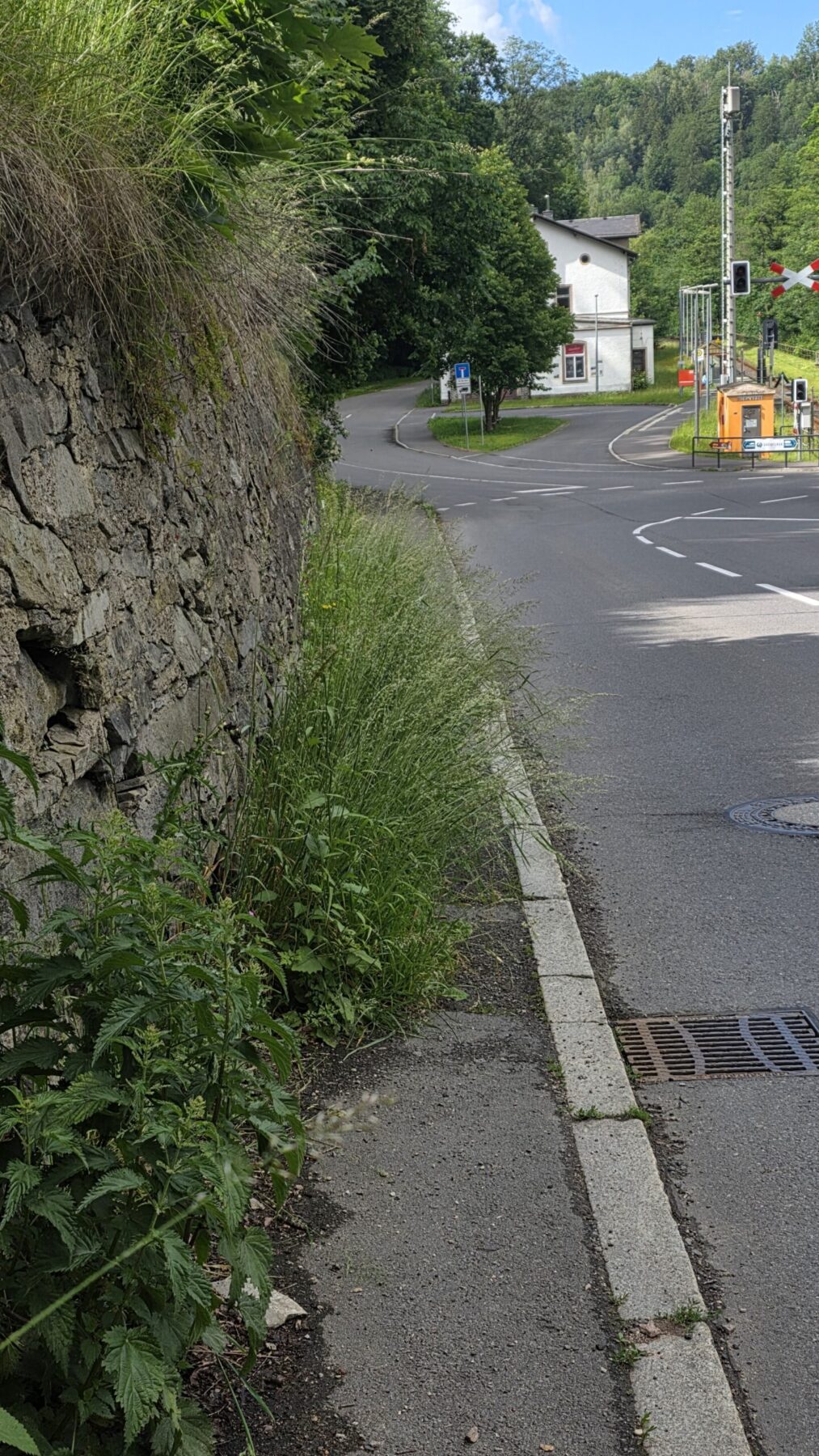 Gehweg Chemnitzer Straße zugewachsen