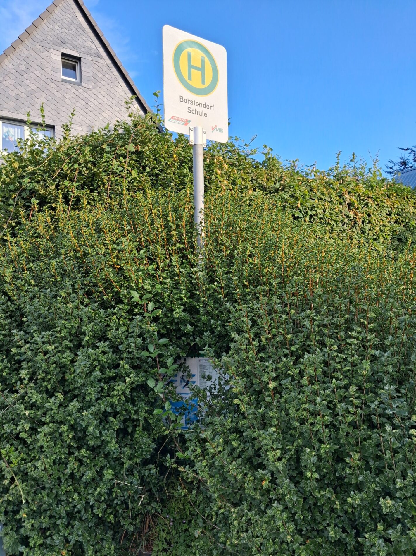 OT Borstendorf_Busplan zugewachsen Borstendorf Schule