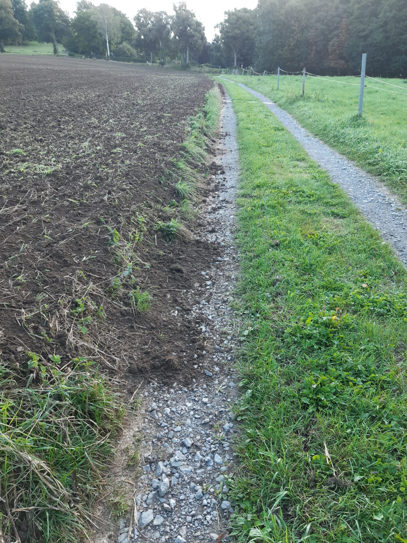 OT Borstendorf_Verunreinigung Schachwanderweg (Langer Grund-Kohlenstr.) in Borstendorf