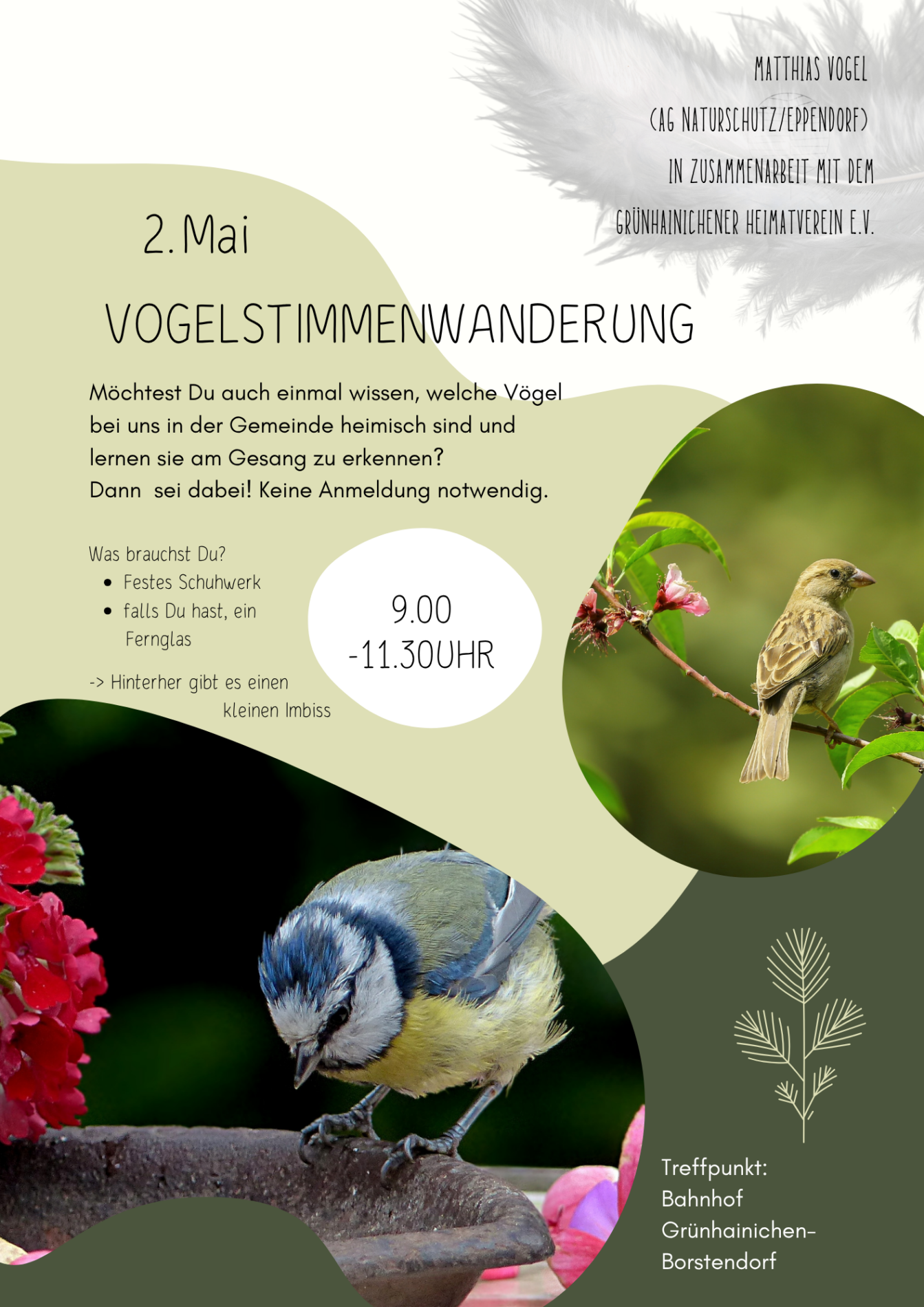 Plakat Vogelstimmenwanderung am 02.05.2027